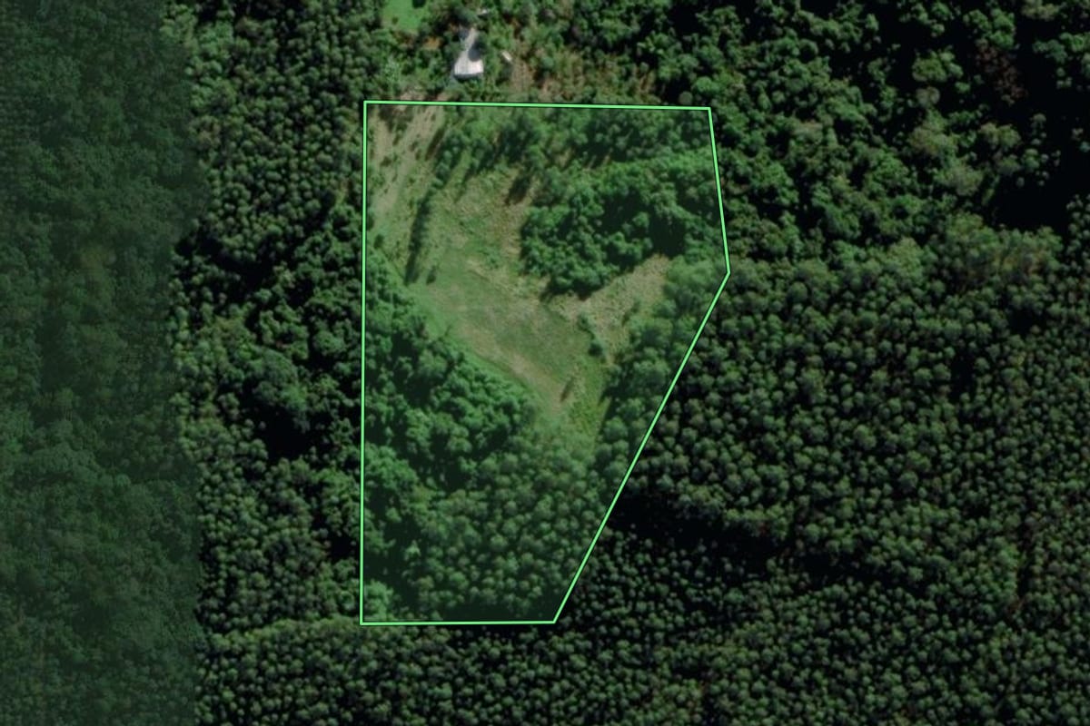 Imagem de satélite do imóvel rural em Montenegro (RS), com o contorno declarado no CAR desenhado por cima.