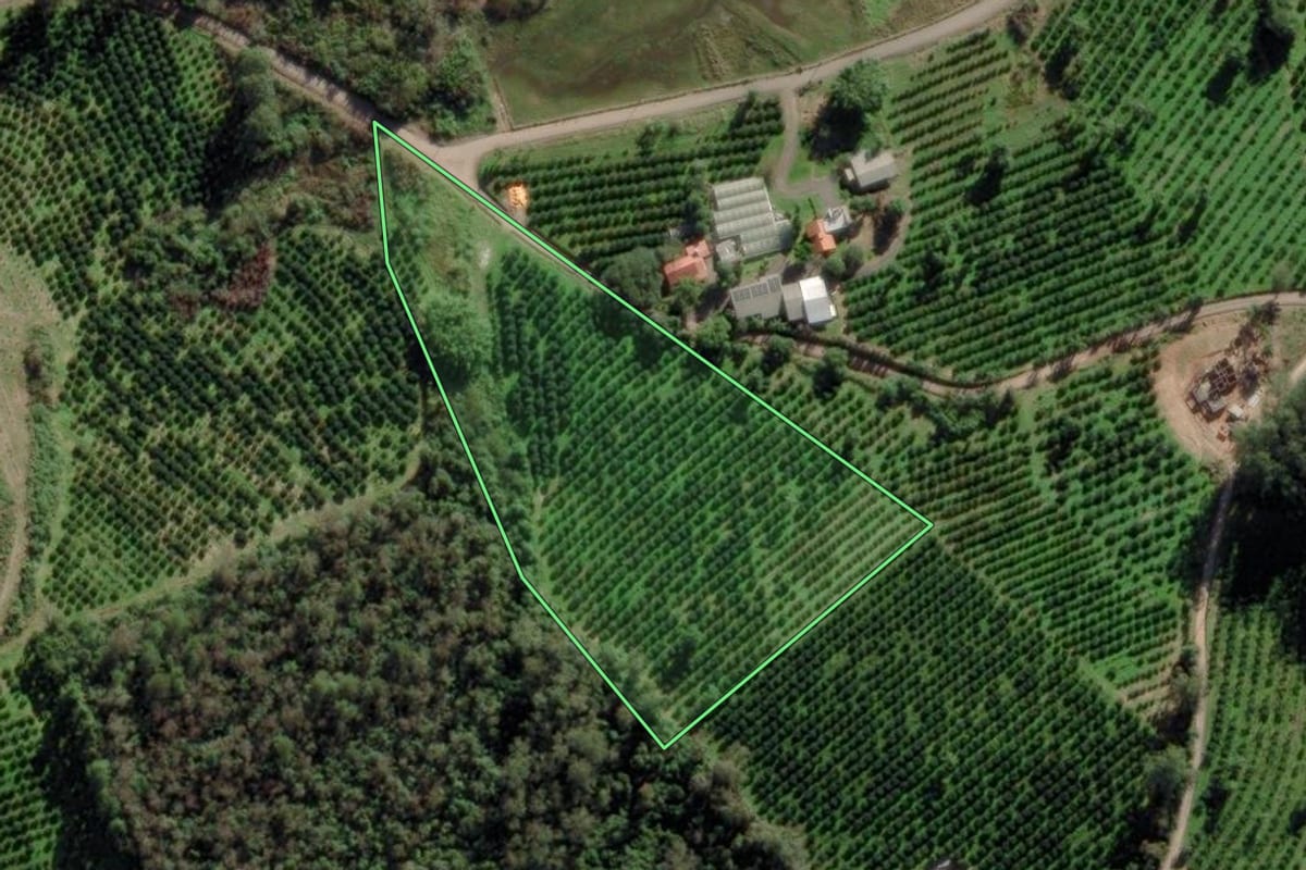Imagem de satélite do imóvel rural em Montenegro (RS), com o contorno declarado no CAR desenhado por cima.
