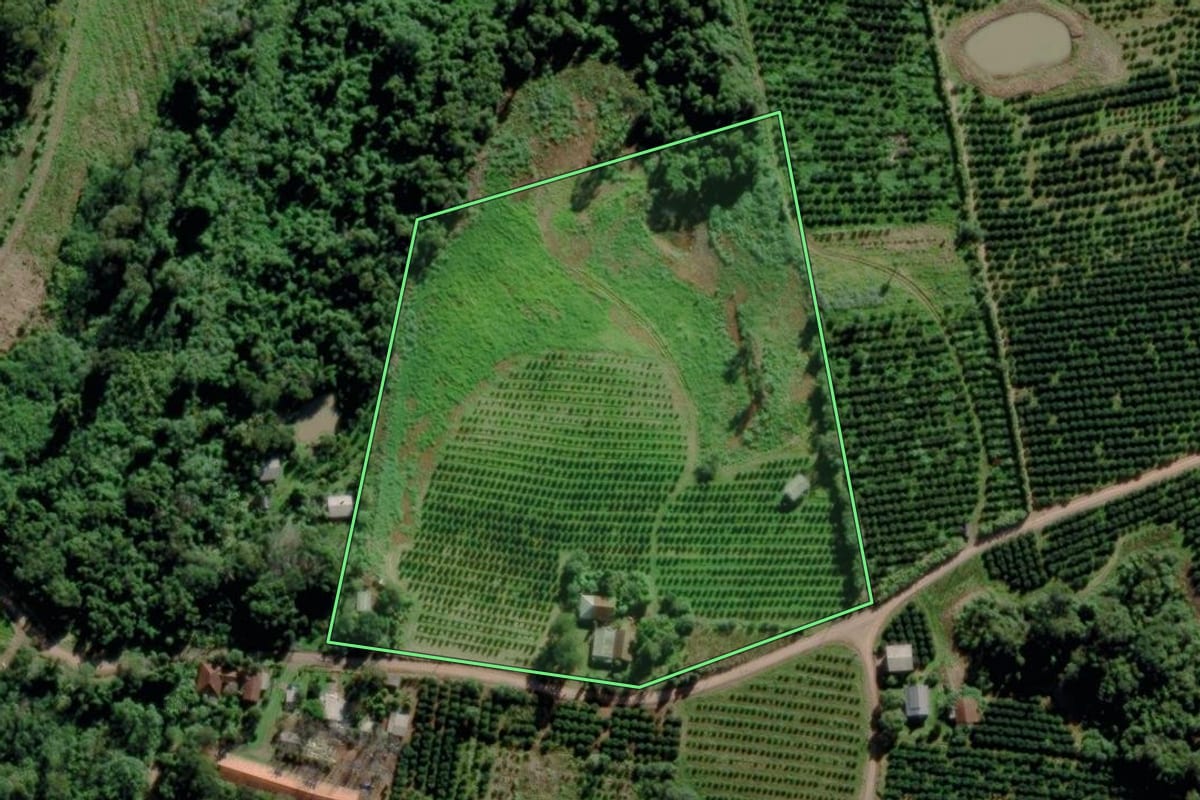 Imagem de satélite do imóvel rural em Montenegro (RS), com o contorno declarado no CAR desenhado por cima.