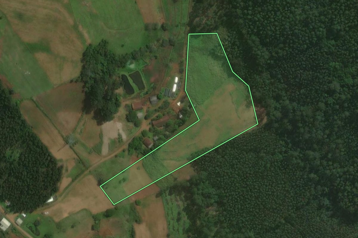 Imagem de satélite do imóvel rural em Montenegro (RS), com o contorno declarado no CAR desenhado por cima.