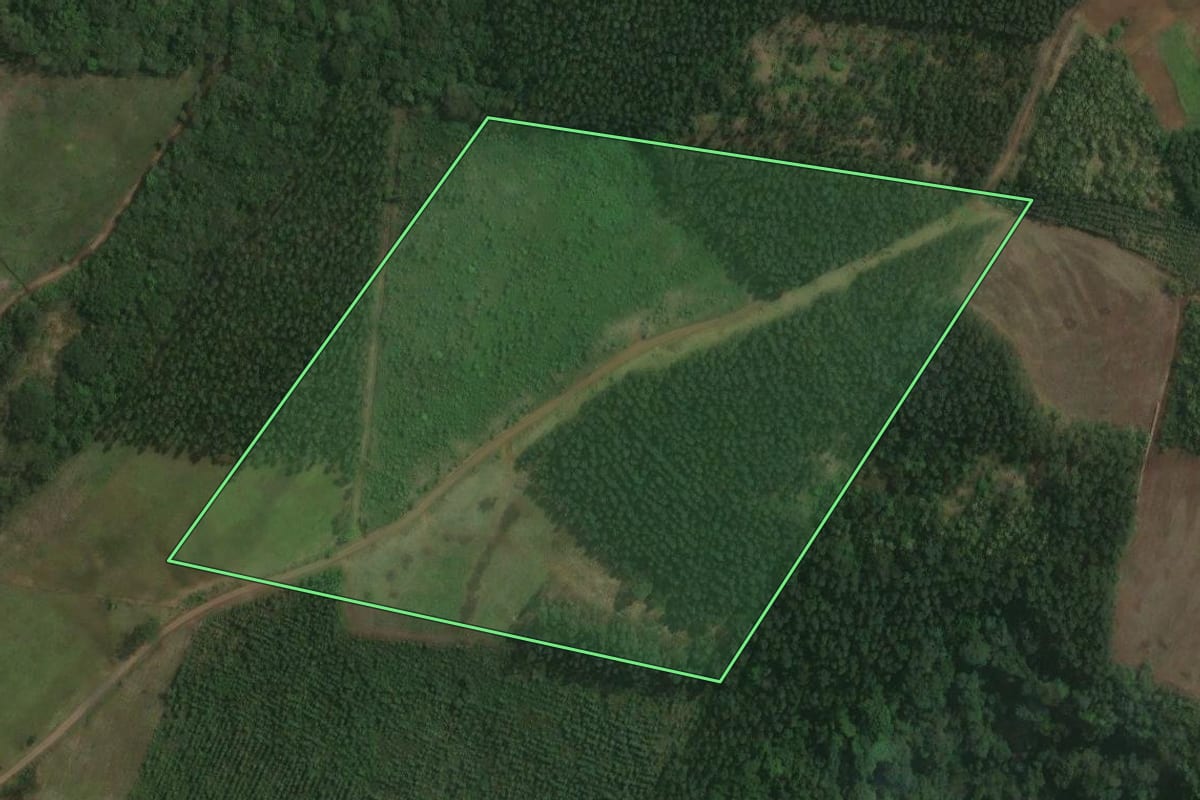 Imagem de satélite do imóvel rural em Montenegro (RS), com o contorno declarado no CAR desenhado por cima.
