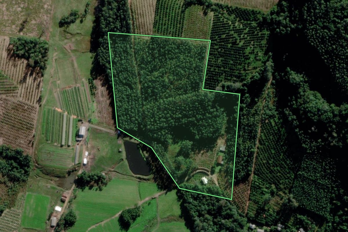 Imagem de satélite do imóvel rural em Montenegro (RS), com o contorno declarado no CAR desenhado por cima.