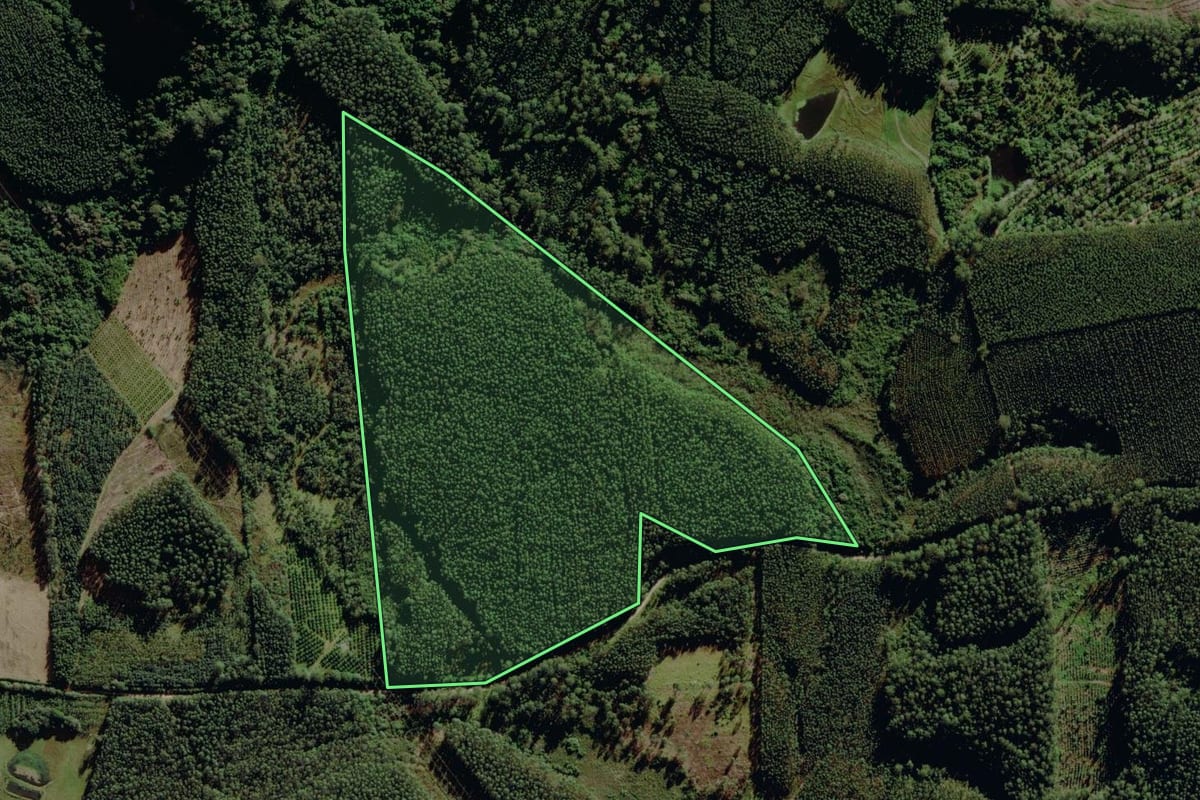 Imagem de satélite do imóvel rural em Montenegro (RS), com o contorno declarado no CAR desenhado por cima.