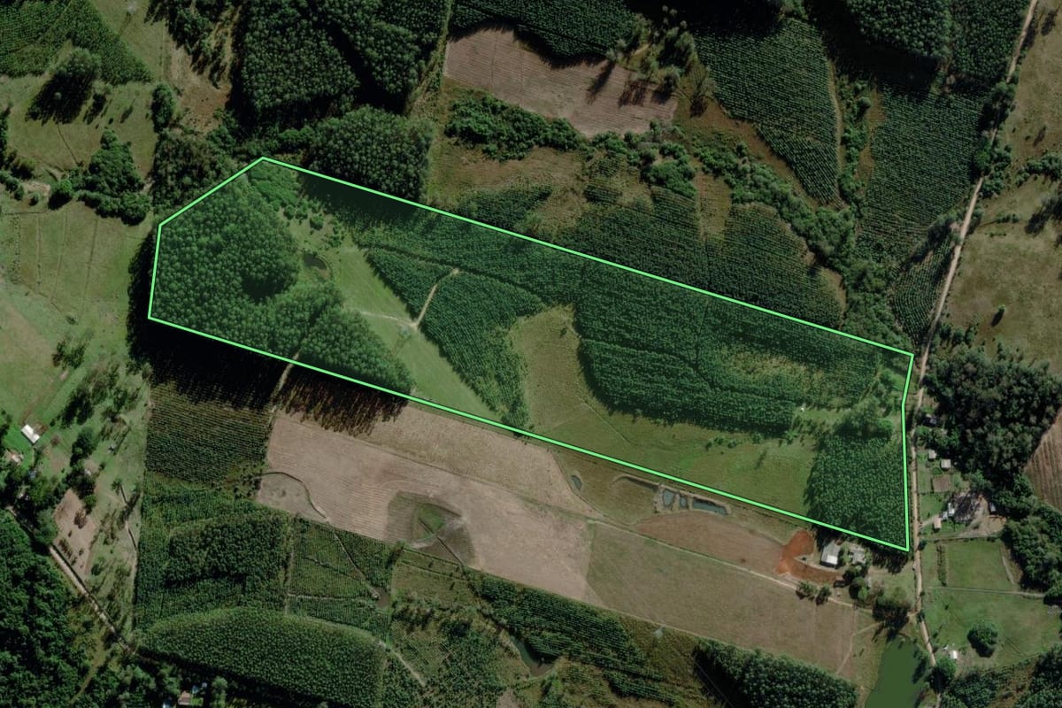 Imagem de satélite do imóvel rural em Montenegro (RS), com o contorno declarado no CAR desenhado por cima.