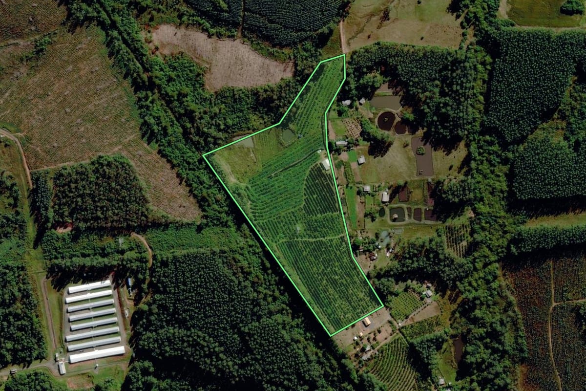 Imagem de satélite do imóvel rural em Montenegro (RS), com o contorno declarado no CAR desenhado por cima.