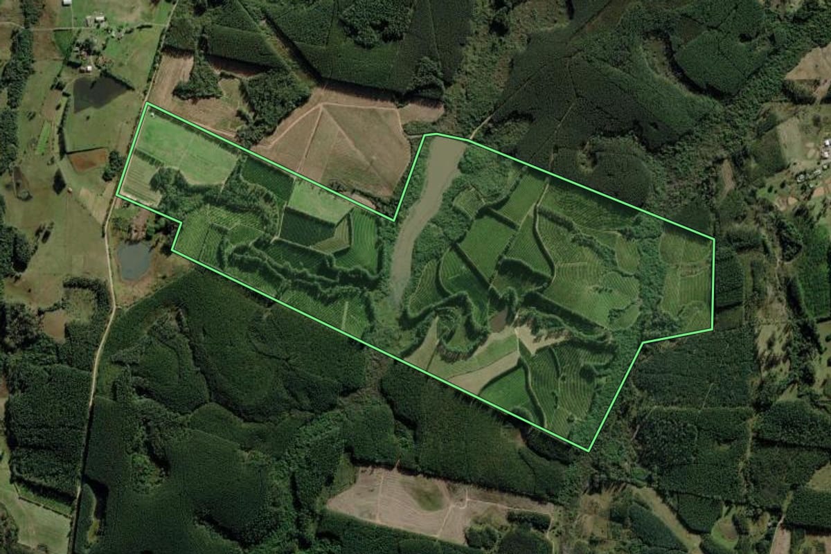 Imagem de satélite do imóvel rural em Montenegro (RS), com o contorno declarado no CAR desenhado por cima.