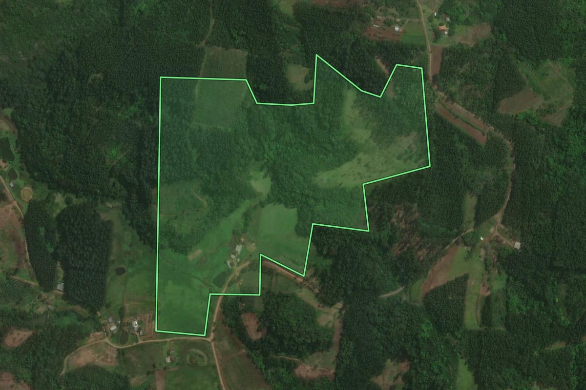 Imagem de satélite do imóvel rural em Montenegro (RS), com o contorno declarado no CAR desenhado por cima.