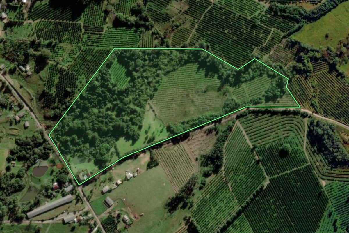 Imagem de satélite do imóvel rural em Montenegro (RS), com o contorno declarado no CAR desenhado por cima.