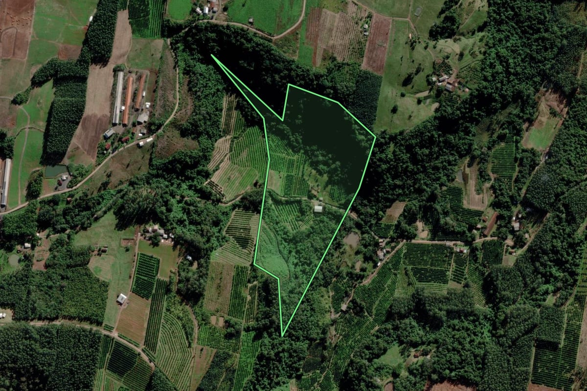 Imagem de satélite do imóvel rural em Montenegro (RS), com o contorno declarado no CAR desenhado por cima.