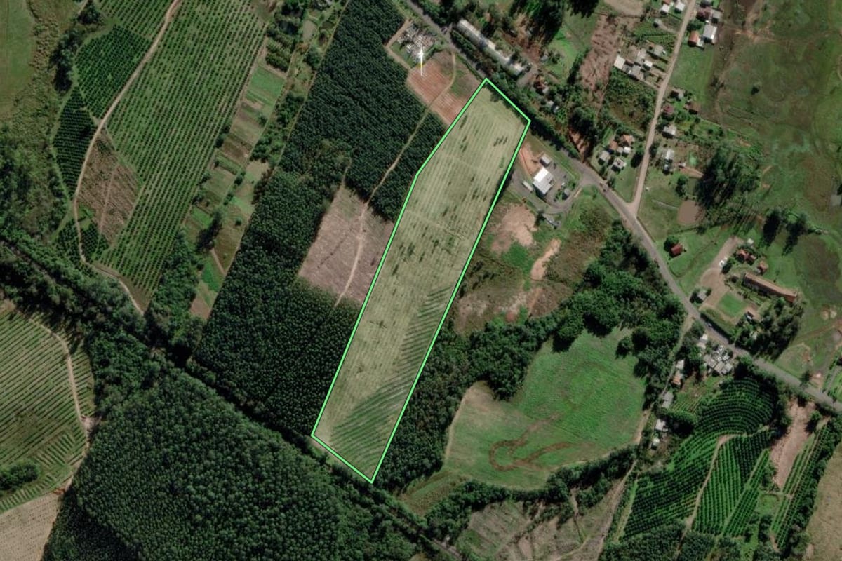 Imagem de satélite do imóvel rural em Montenegro (RS), com o contorno declarado no CAR desenhado por cima.