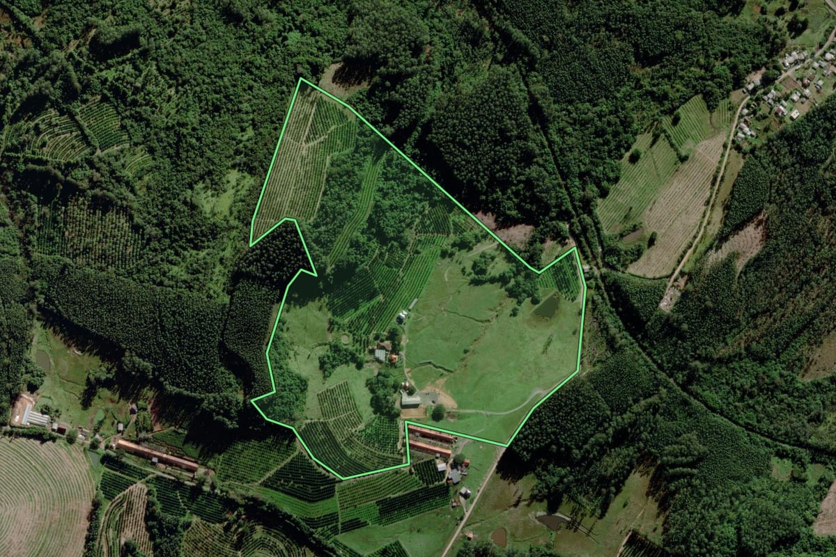 Imagem de satélite do imóvel rural em Montenegro (RS), com o contorno declarado no CAR desenhado por cima.