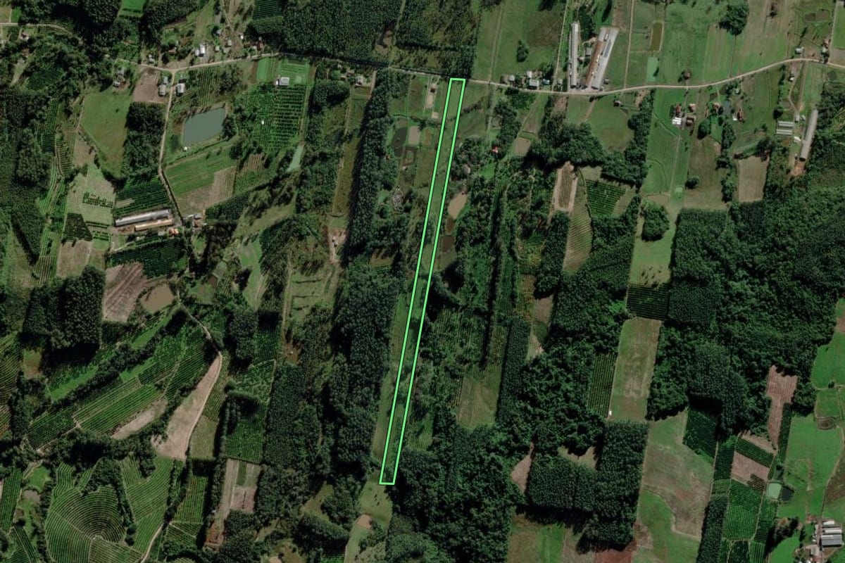 Imagem de satélite do imóvel rural em Montenegro (RS), com o contorno declarado no CAR desenhado por cima.