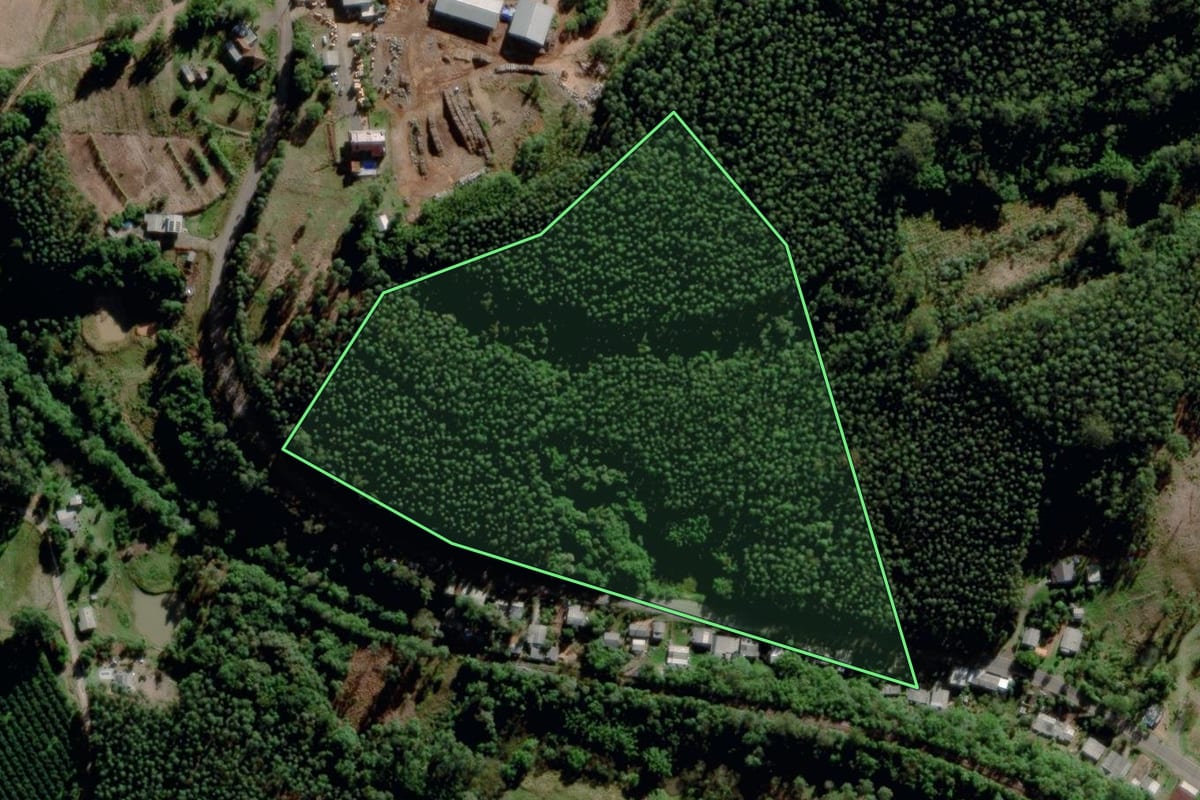 Imagem de satélite do imóvel rural em Montenegro (RS), com o contorno declarado no CAR desenhado por cima.