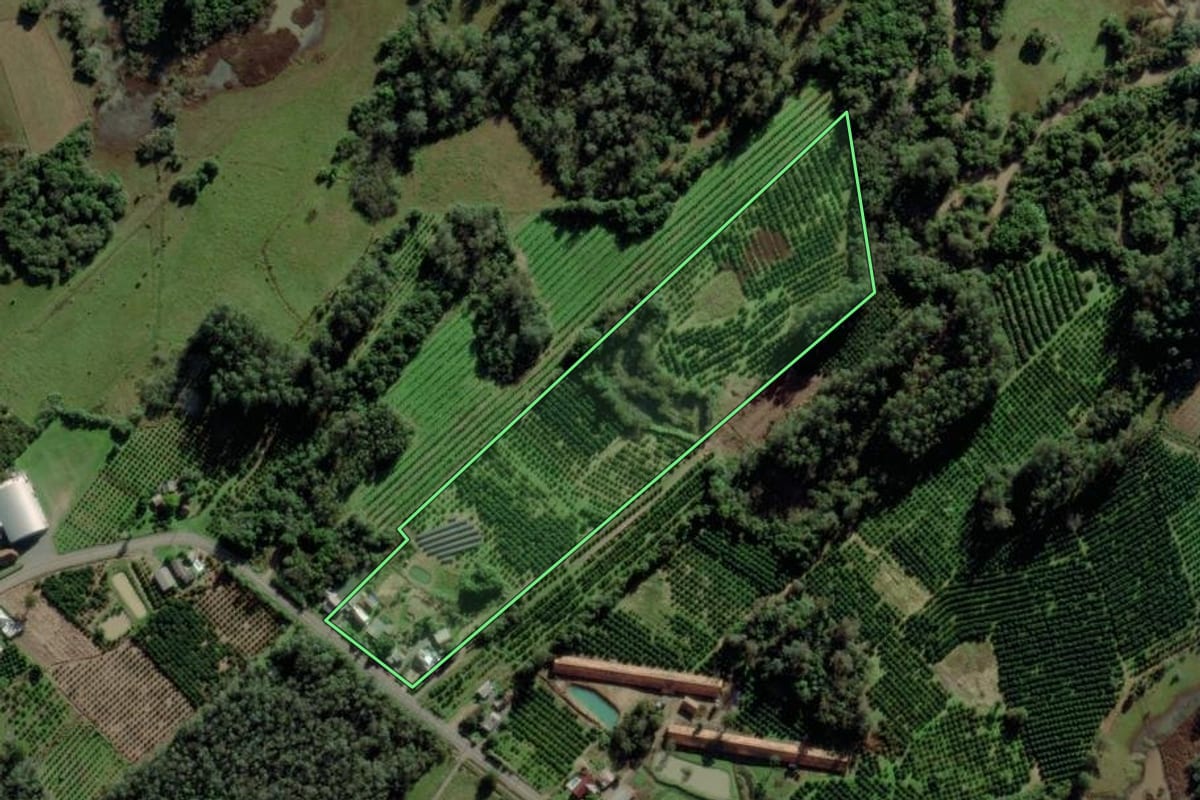 Imagem de satélite do imóvel rural em Montenegro (RS), com o contorno declarado no CAR desenhado por cima.