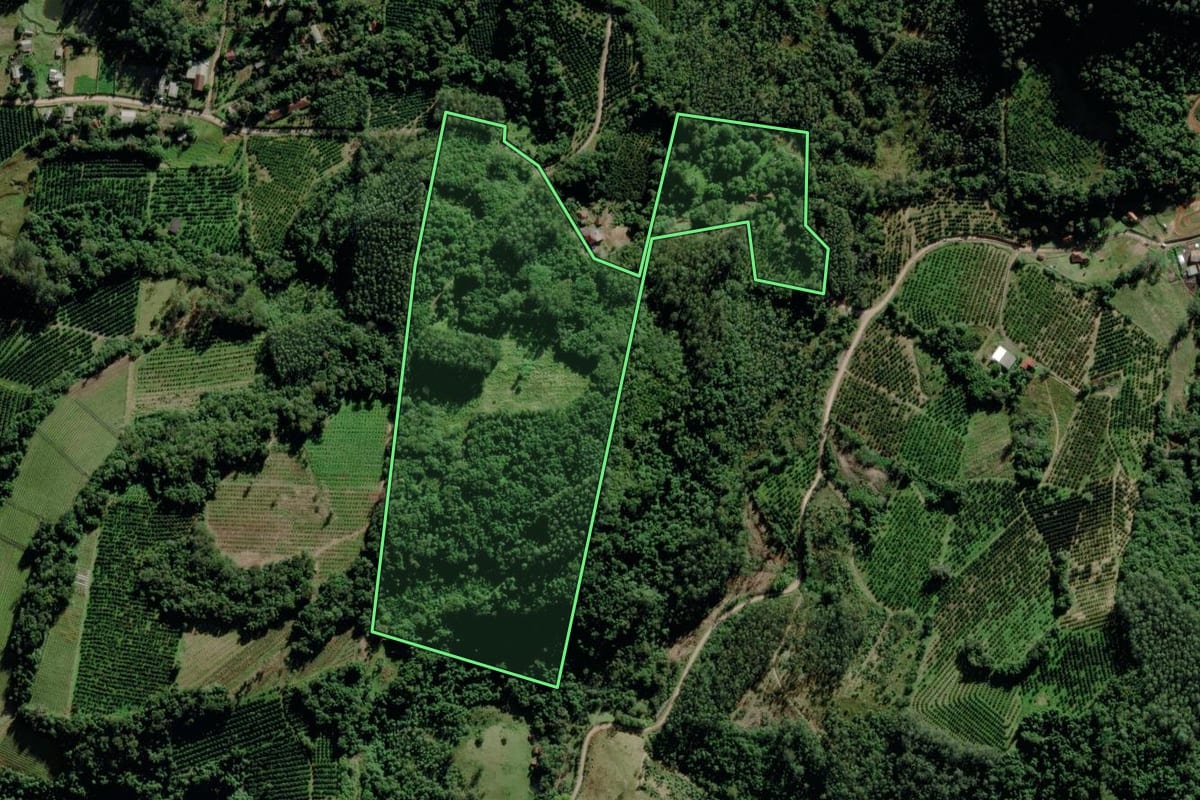 Imagem de satélite do imóvel rural em Montenegro (RS), com o contorno declarado no CAR desenhado por cima.