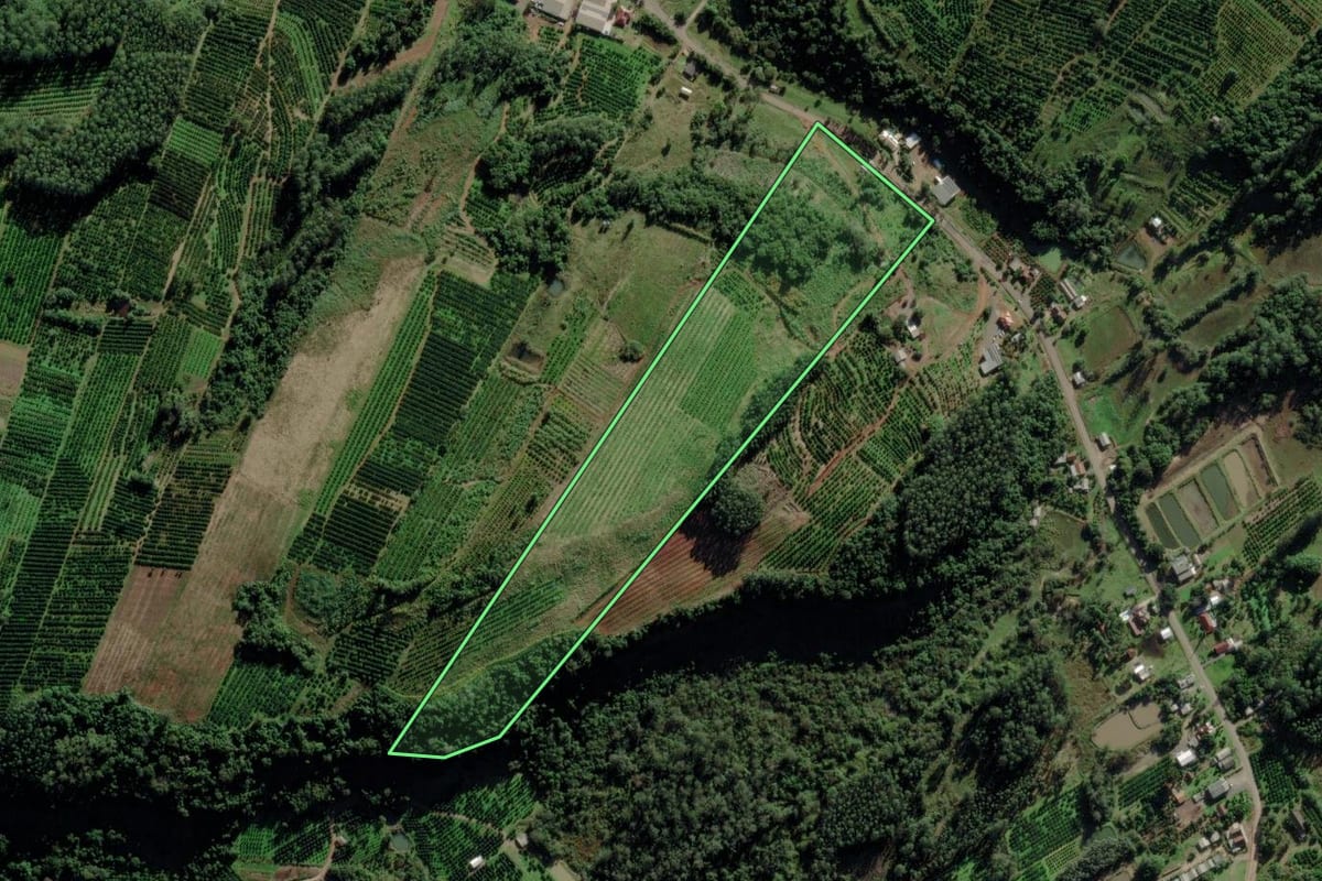 Imagem de satélite do imóvel rural em Montenegro (RS), com o contorno declarado no CAR desenhado por cima.