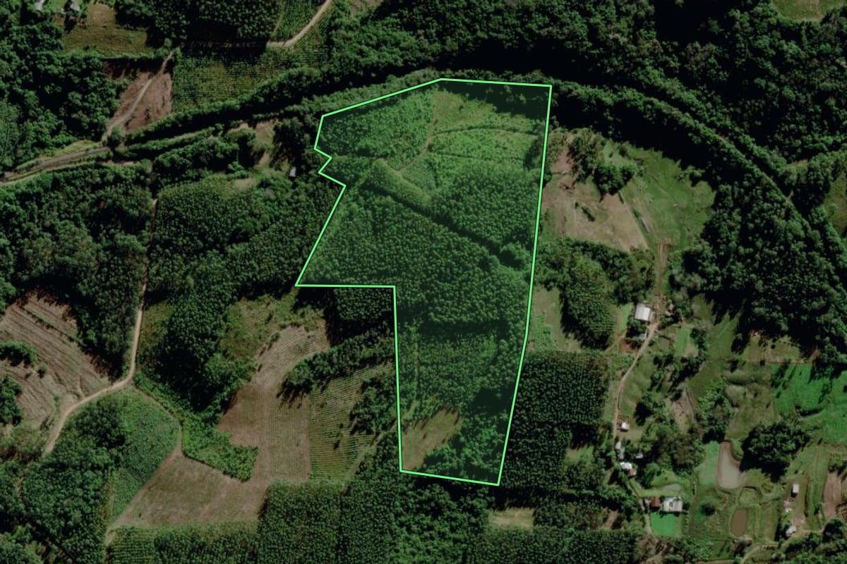 Imagem de satélite do imóvel rural em Montenegro (RS), com o contorno declarado no CAR desenhado por cima.