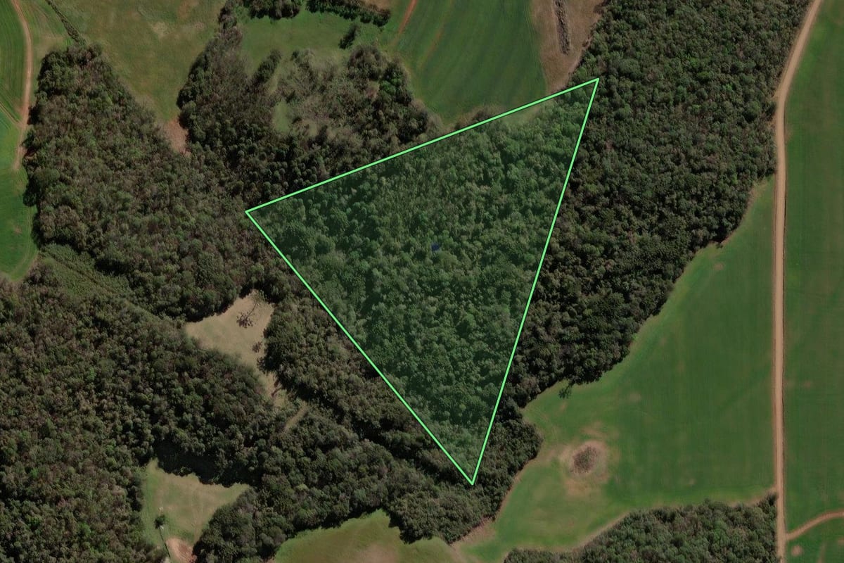 Imagem de satélite do imóvel rural em Mormaço (RS), com o contorno declarado no CAR desenhado por cima.
