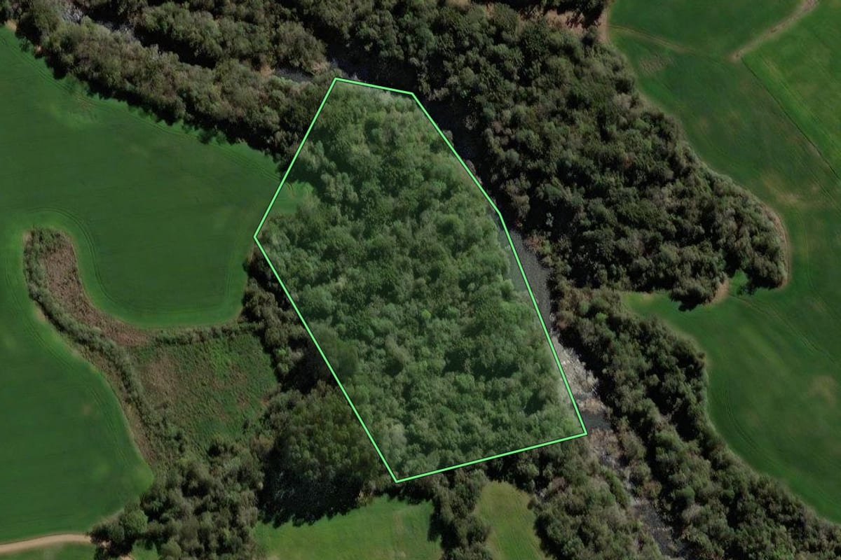 Imagem de satélite do imóvel rural em Mormaço (RS), com o contorno declarado no CAR desenhado por cima.