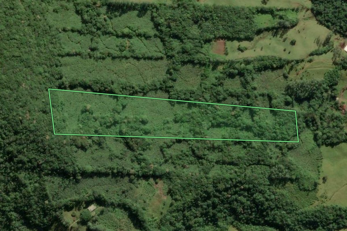 Imagem de satélite do imóvel rural em Morrinhos do Sul (RS), com o contorno declarado no CAR desenhado por cima.