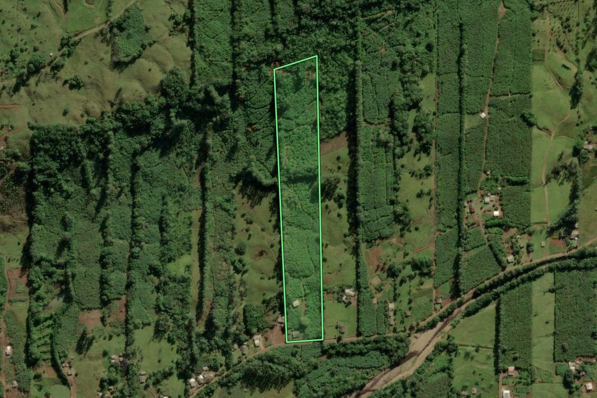 Imagem de satélite do imóvel rural em Morrinhos do Sul (RS), com o contorno declarado no CAR desenhado por cima.