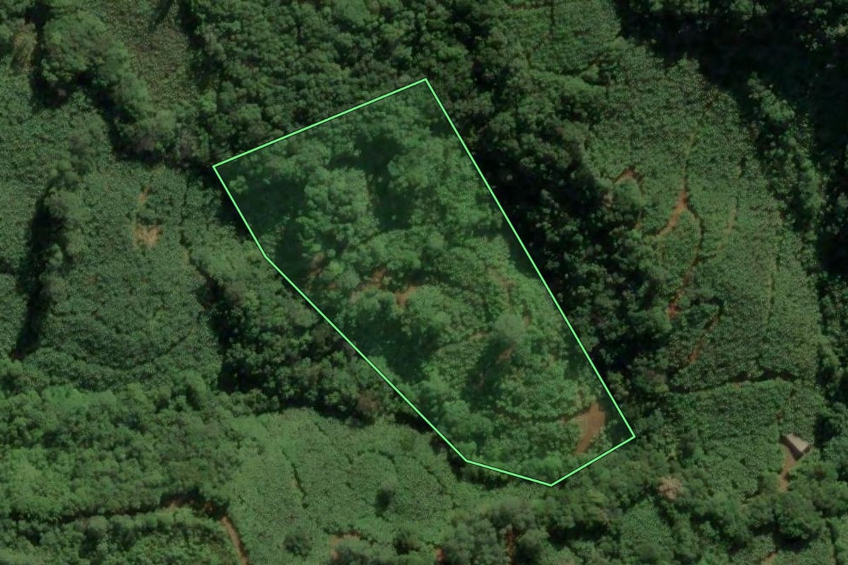 Imagem de satélite do imóvel rural em Morrinhos do Sul (RS), com o contorno declarado no CAR desenhado por cima.