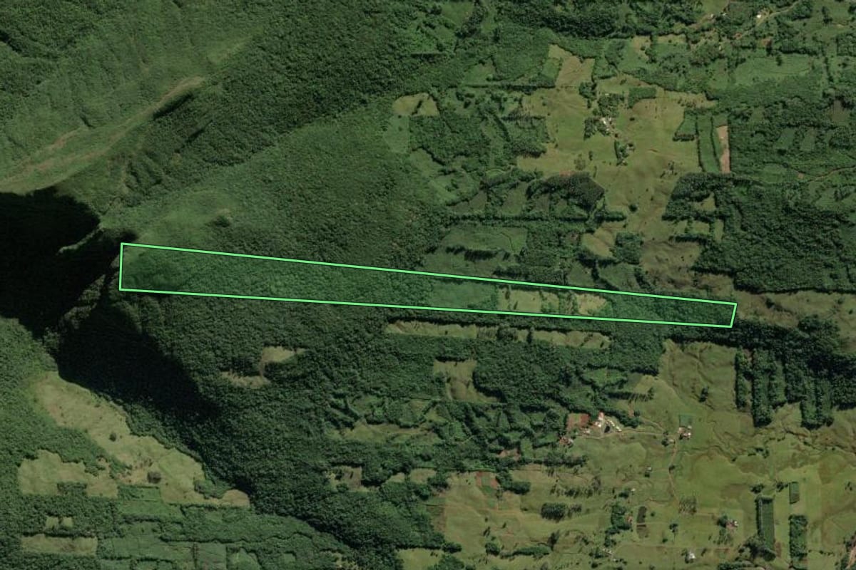 Imagem de satélite do imóvel rural em Morrinhos do Sul (RS), com o contorno declarado no CAR desenhado por cima.