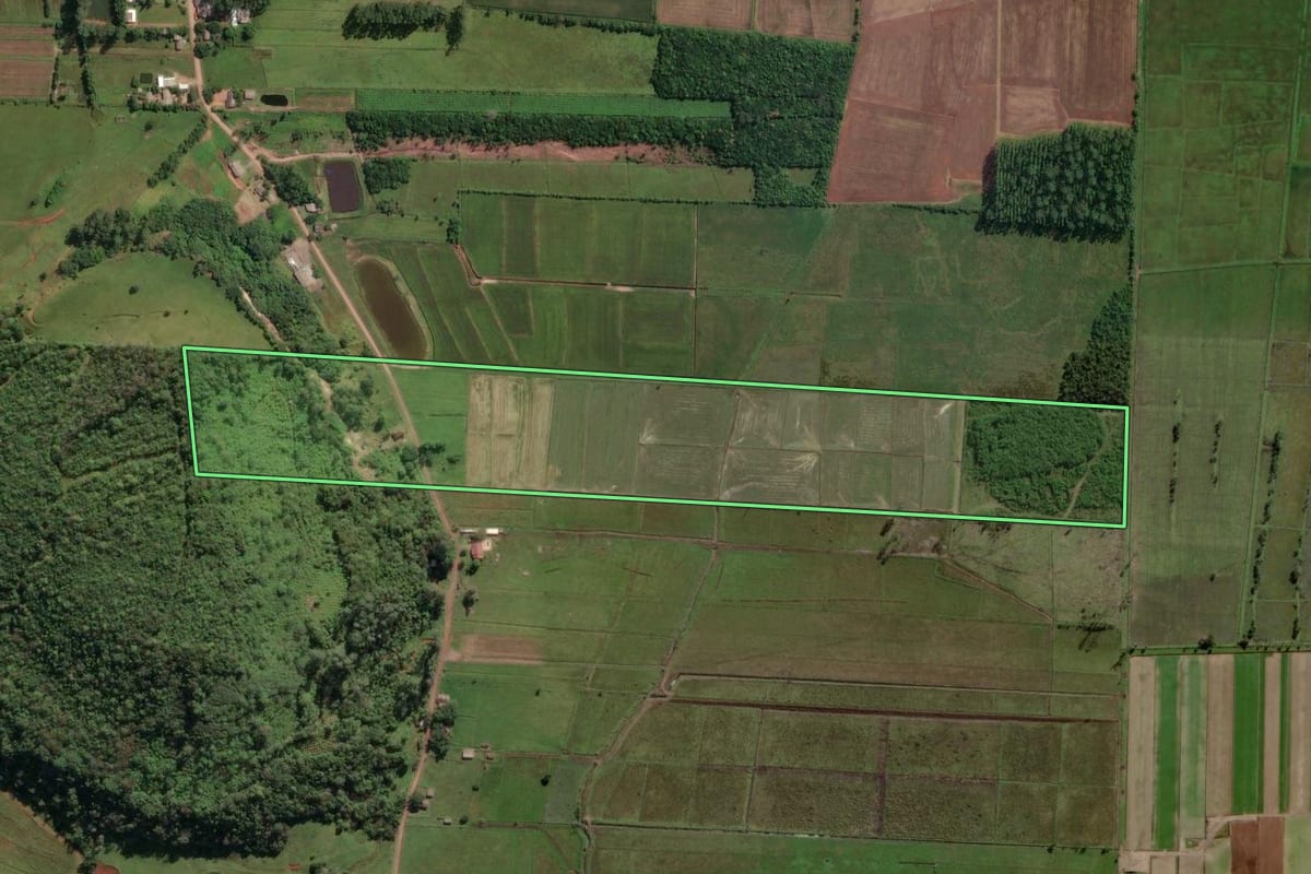 Imagem de satélite do imóvel rural em Morrinhos do Sul (RS), com o contorno declarado no CAR desenhado por cima.