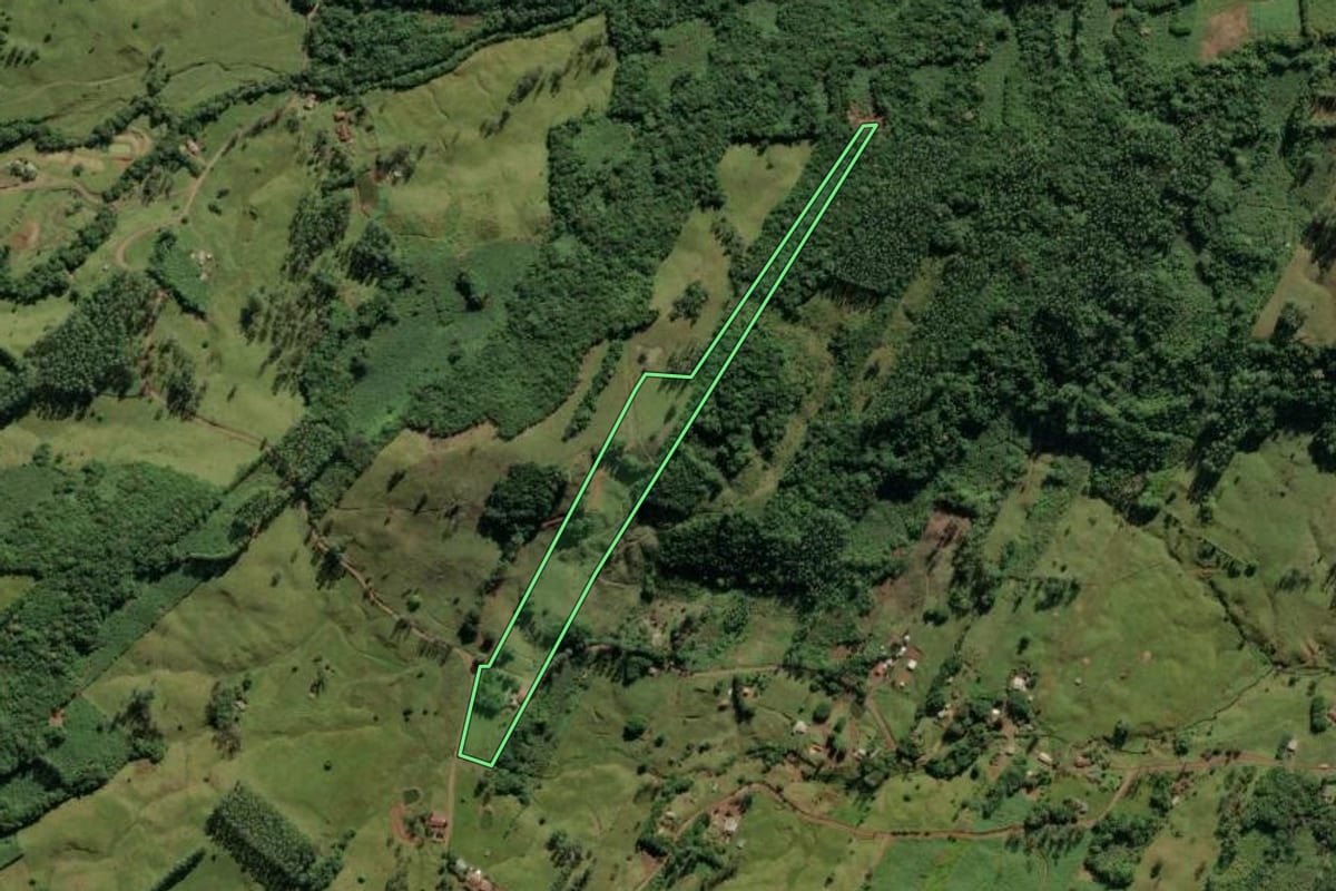 Imagem de satélite do imóvel rural em Morrinhos do Sul (RS), com o contorno declarado no CAR desenhado por cima.