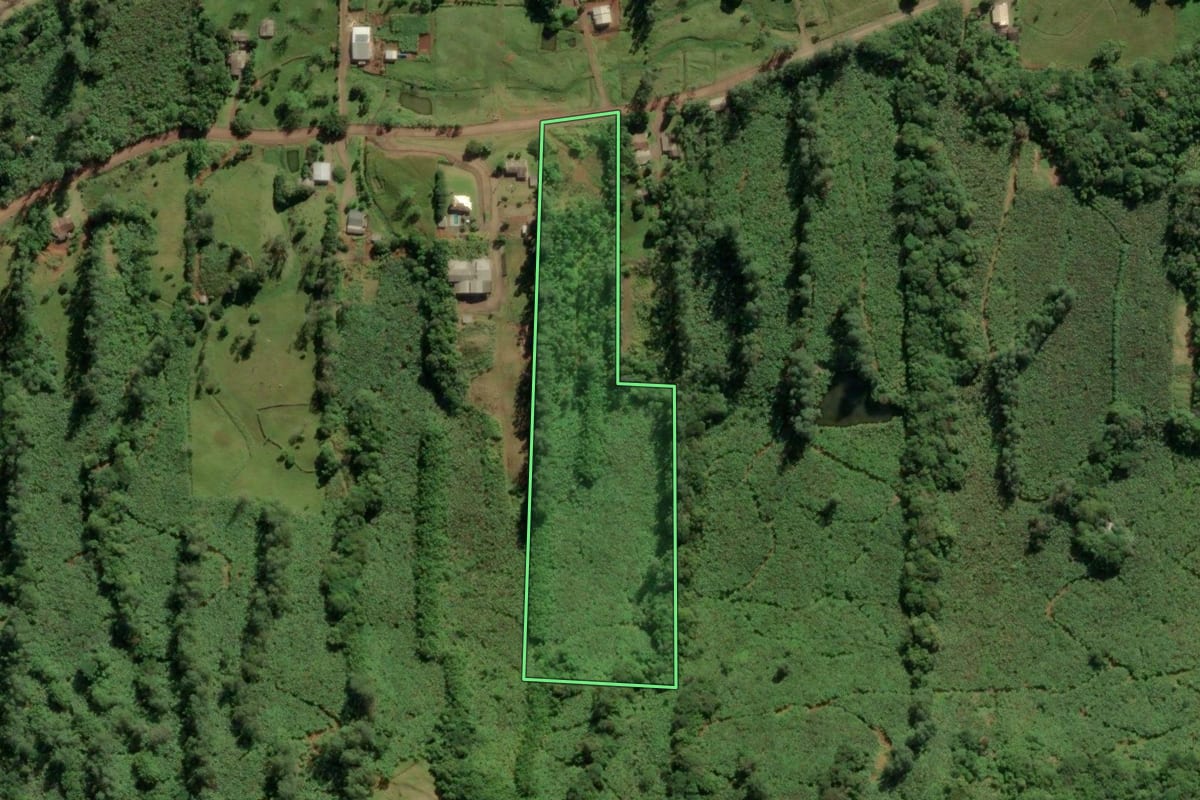 Imagem de satélite do imóvel rural em Morrinhos do Sul (RS), com o contorno declarado no CAR desenhado por cima.
