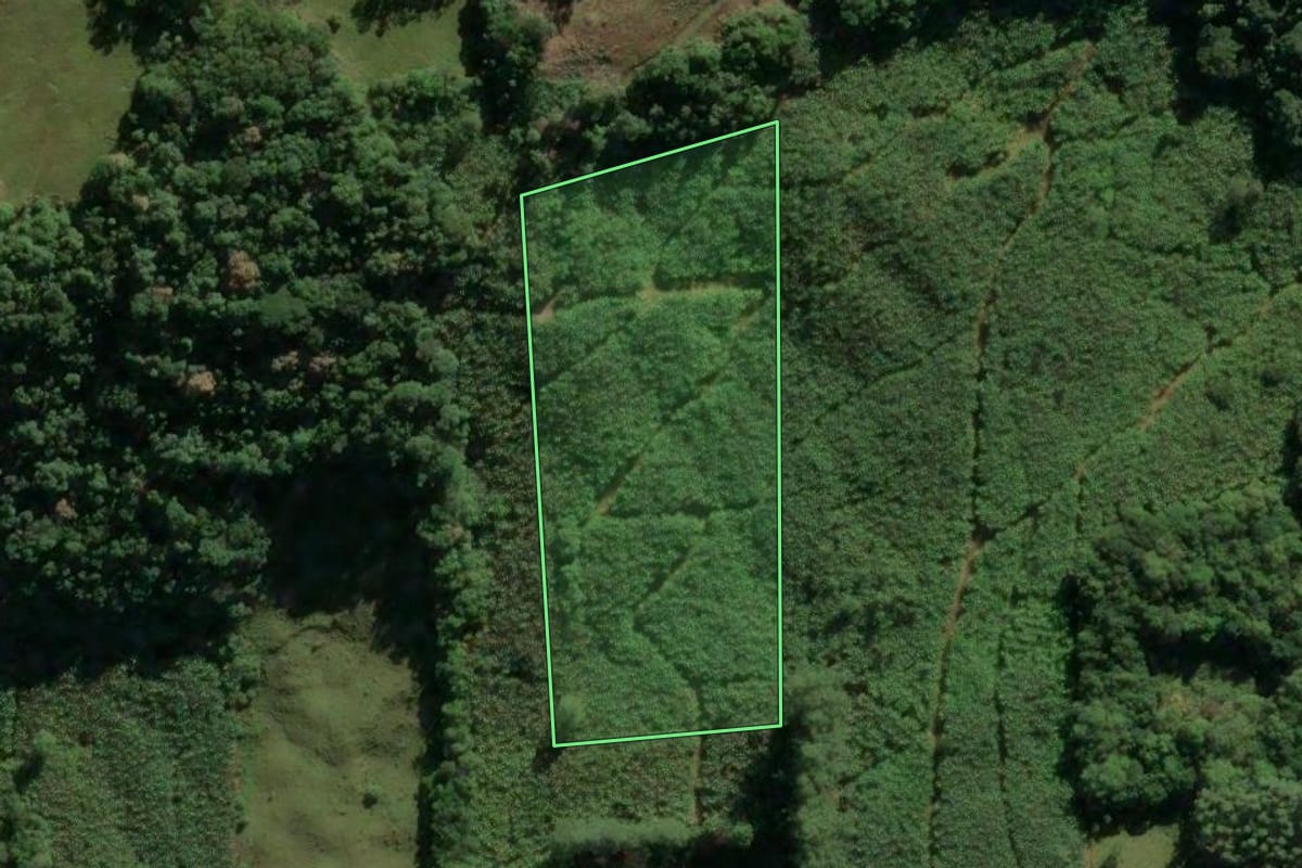 Imagem de satélite do imóvel rural em Morrinhos do Sul (RS), com o contorno declarado no CAR desenhado por cima.