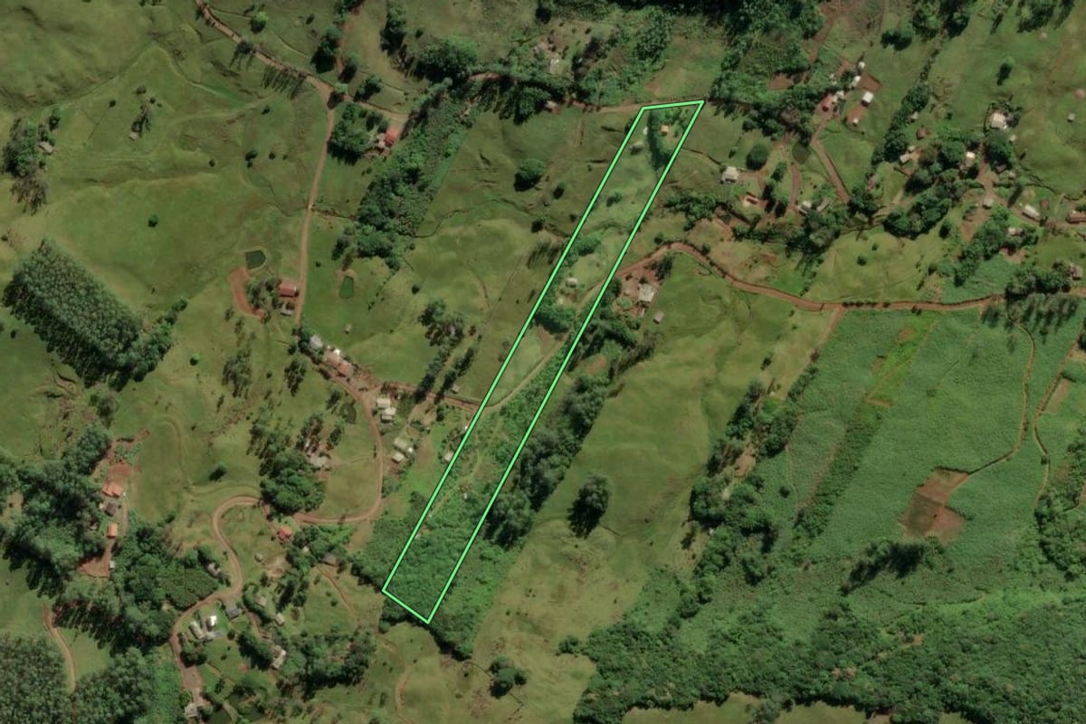 Imagem de satélite do imóvel rural em Morrinhos do Sul (RS), com o contorno declarado no CAR desenhado por cima.