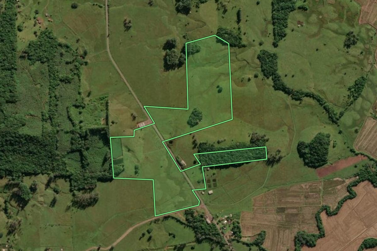 Imagem de satélite do imóvel rural em Morrinhos do Sul (RS), com o contorno declarado no CAR desenhado por cima.