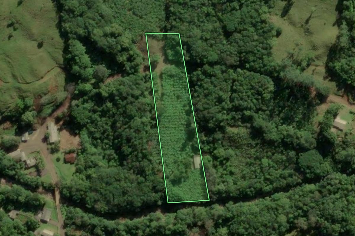 Imagem de satélite do imóvel rural em Morrinhos do Sul (RS), com o contorno declarado no CAR desenhado por cima.