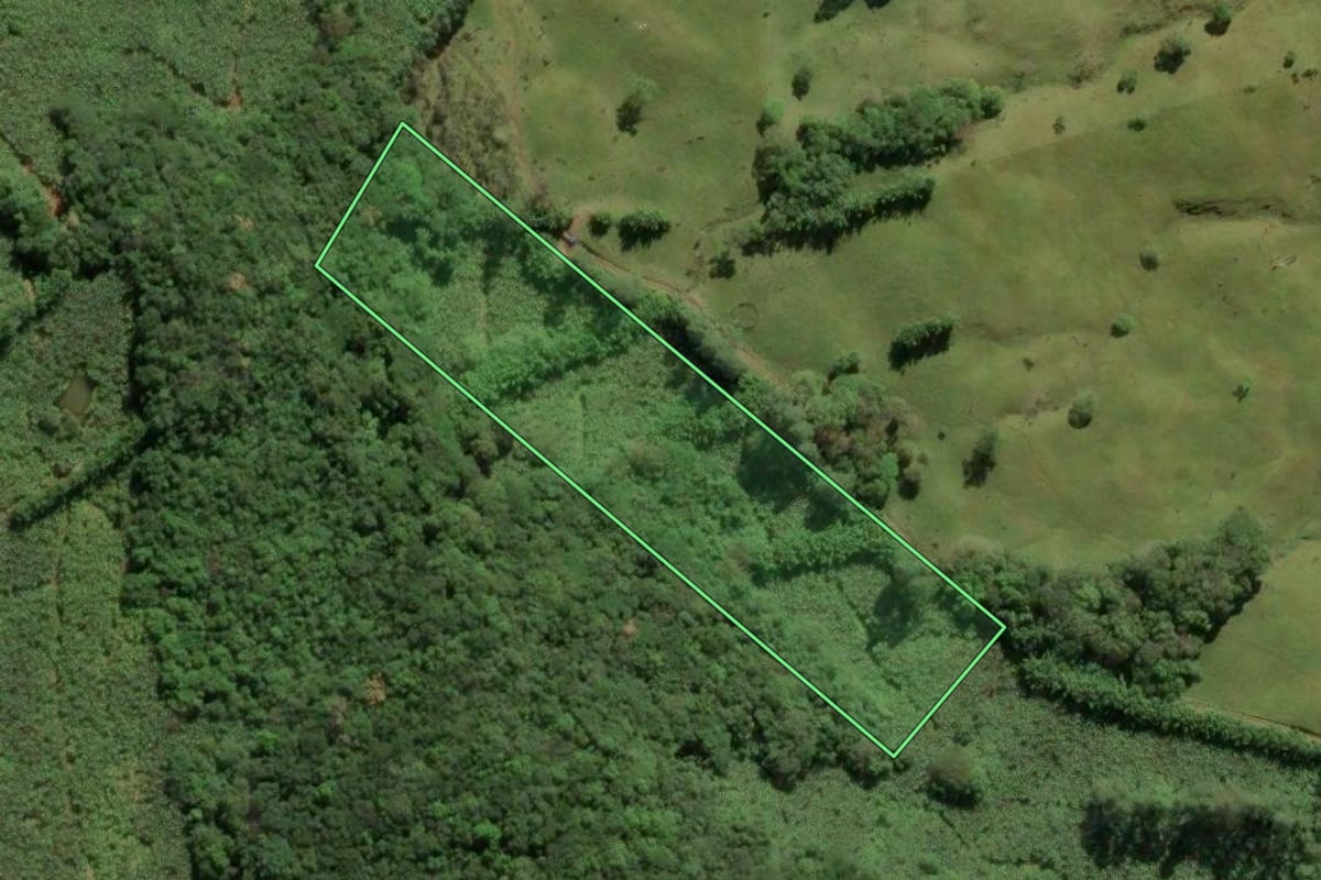 Imagem de satélite do imóvel rural em Morrinhos do Sul (RS), com o contorno declarado no CAR desenhado por cima.