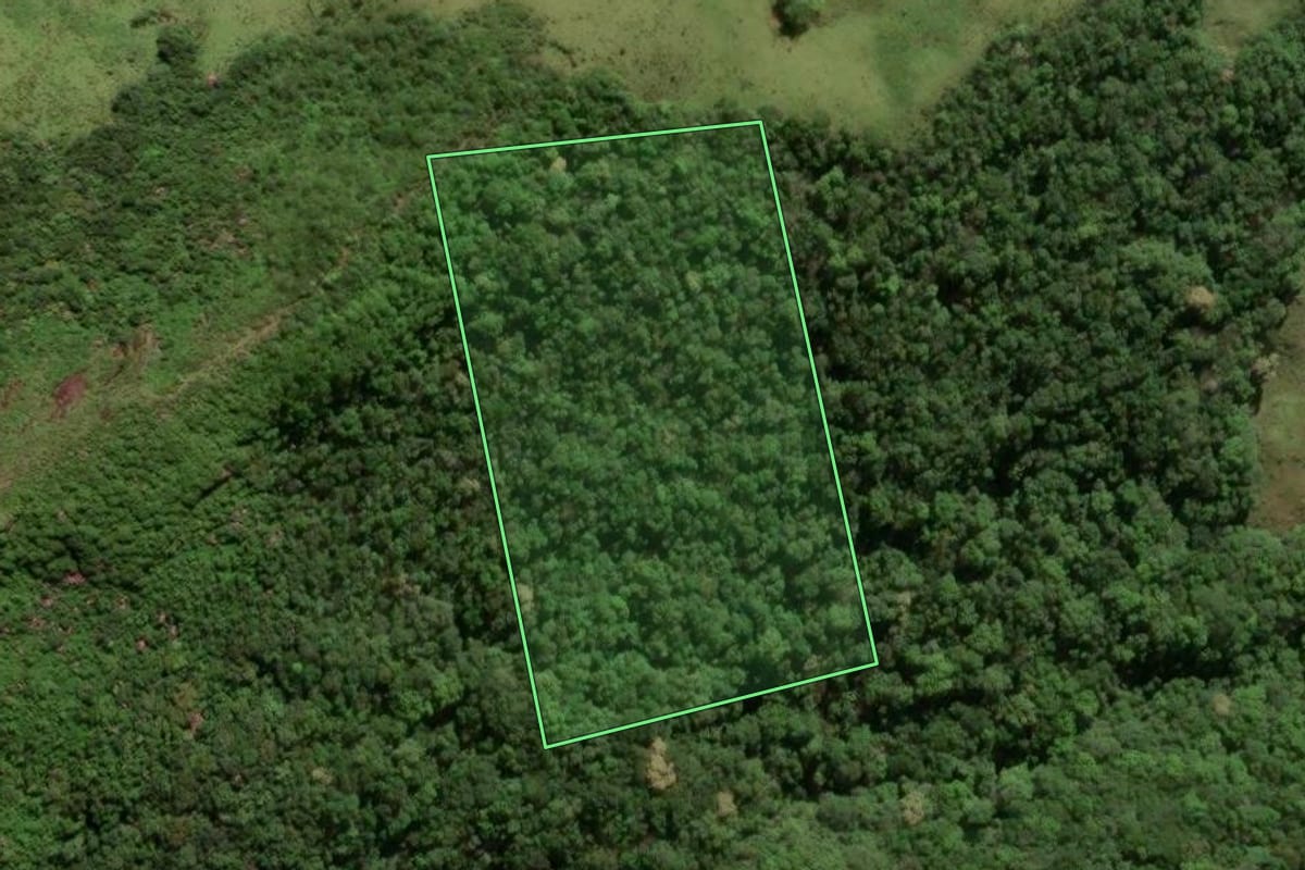 Imagem de satélite do imóvel rural em Morrinhos do Sul (RS), com o contorno declarado no CAR desenhado por cima.