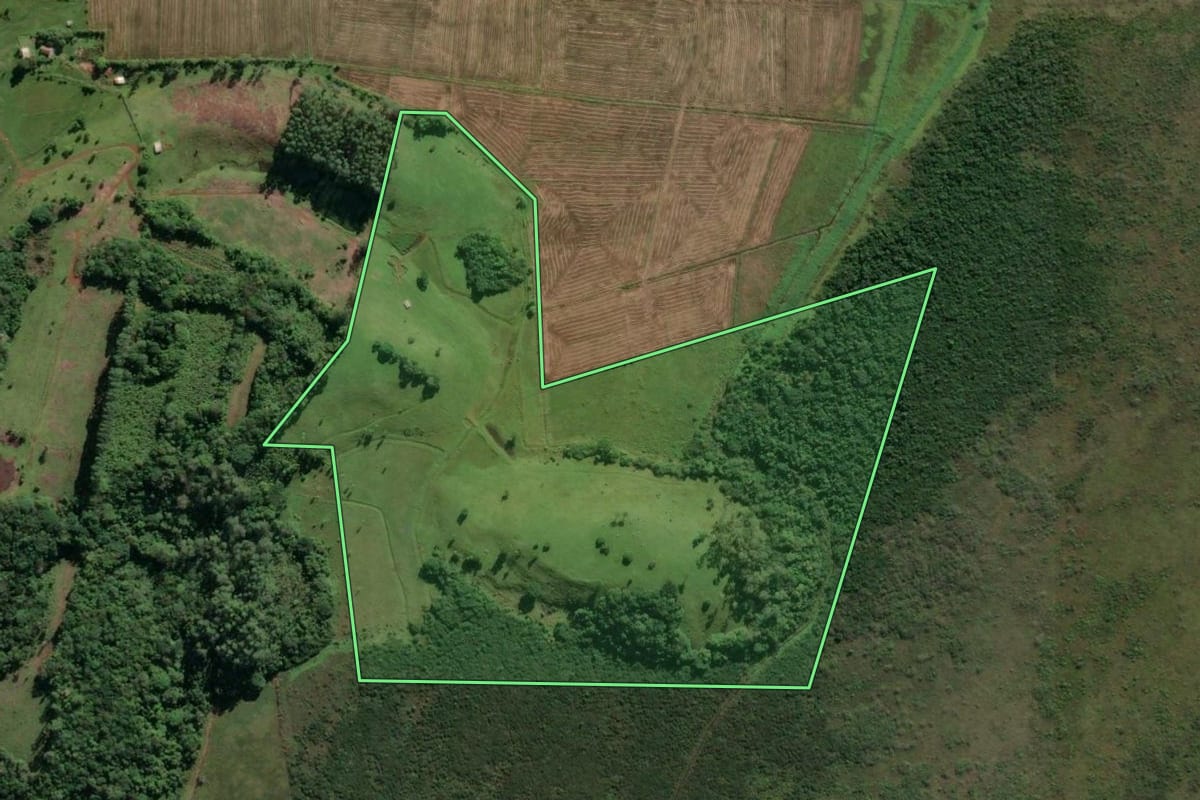 Imagem de satélite do imóvel rural em Morrinhos do Sul (RS), com o contorno declarado no CAR desenhado por cima.