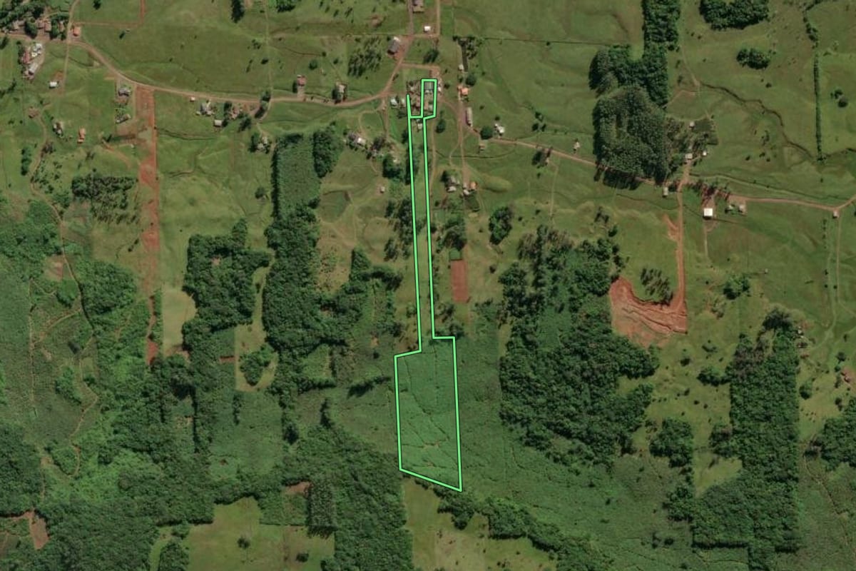 Imagem de satélite do imóvel rural em Morrinhos do Sul (RS), com o contorno declarado no CAR desenhado por cima.