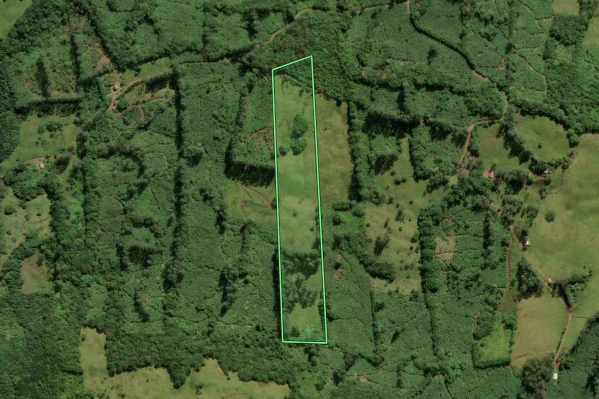 Imagem de satélite do imóvel rural em Morrinhos do Sul (RS), com o contorno declarado no CAR desenhado por cima.