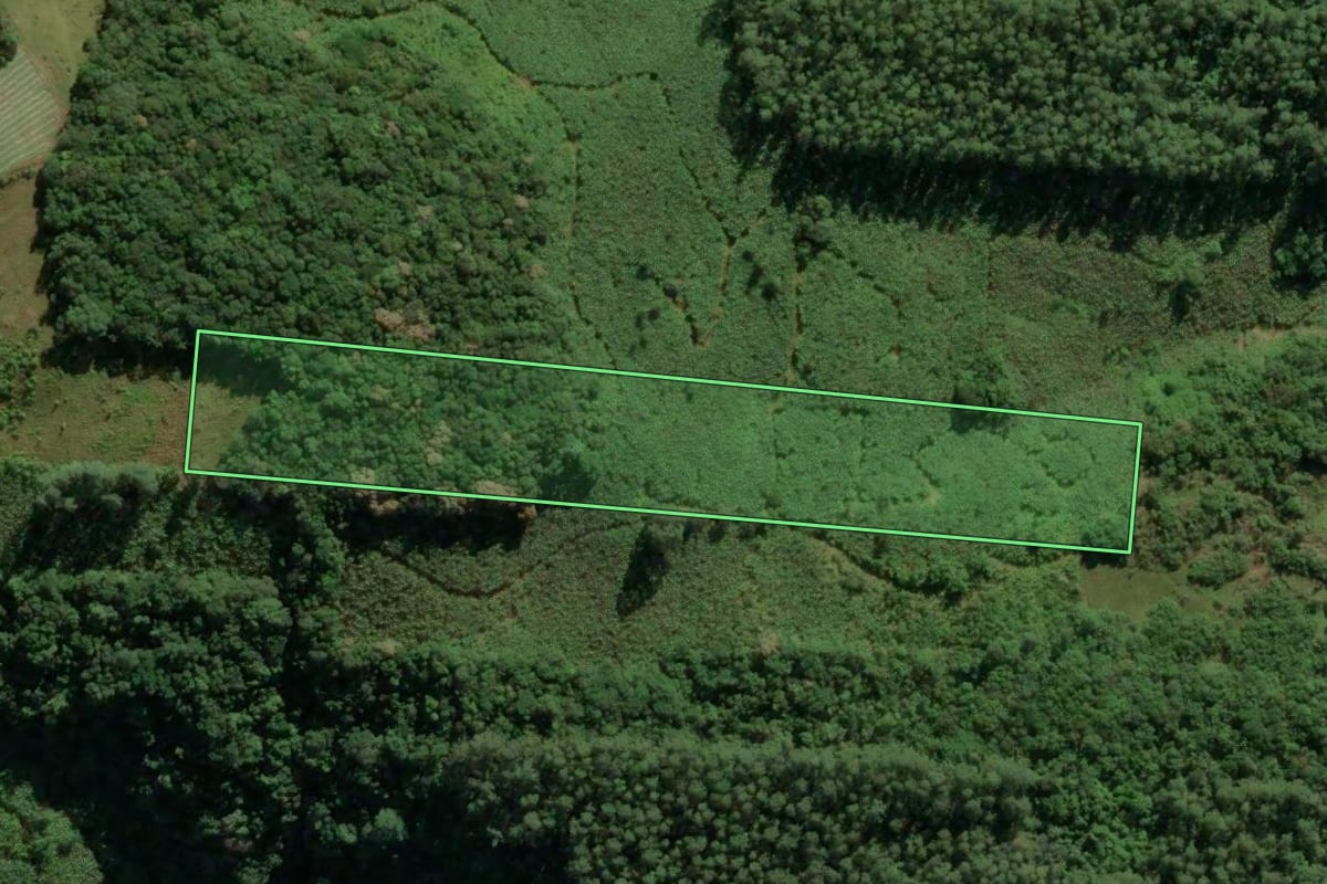 Imagem de satélite do imóvel rural em Morrinhos do Sul (RS), com o contorno declarado no CAR desenhado por cima.