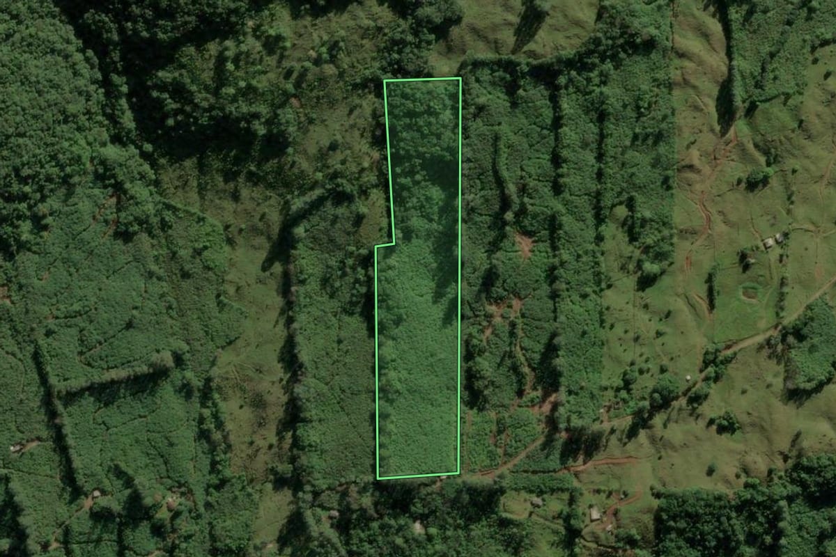 Imagem de satélite do imóvel rural em Morrinhos do Sul (RS), com o contorno declarado no CAR desenhado por cima.