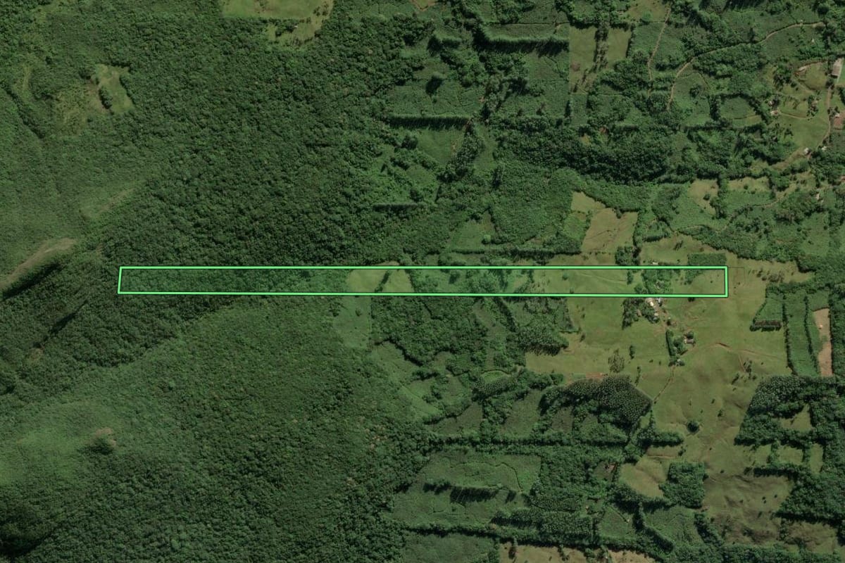 Imagem de satélite do imóvel rural em Morrinhos do Sul (RS), com o contorno declarado no CAR desenhado por cima.