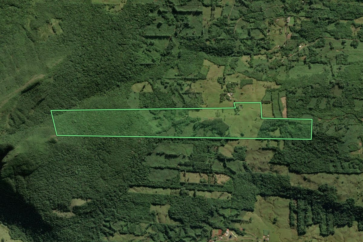 Imagem de satélite do imóvel rural em Morrinhos do Sul (RS), com o contorno declarado no CAR desenhado por cima.