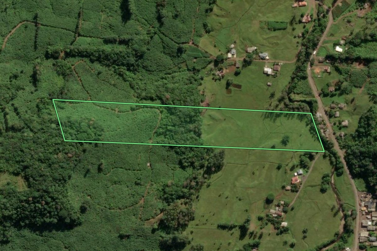 Imagem de satélite do imóvel rural em Morrinhos do Sul (RS), com o contorno declarado no CAR desenhado por cima.