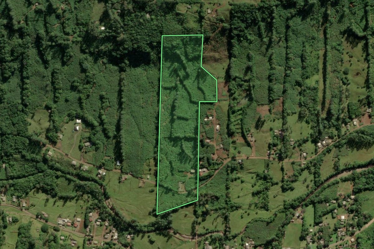 Imagem de satélite do imóvel rural em Morrinhos do Sul (RS), com o contorno declarado no CAR desenhado por cima.