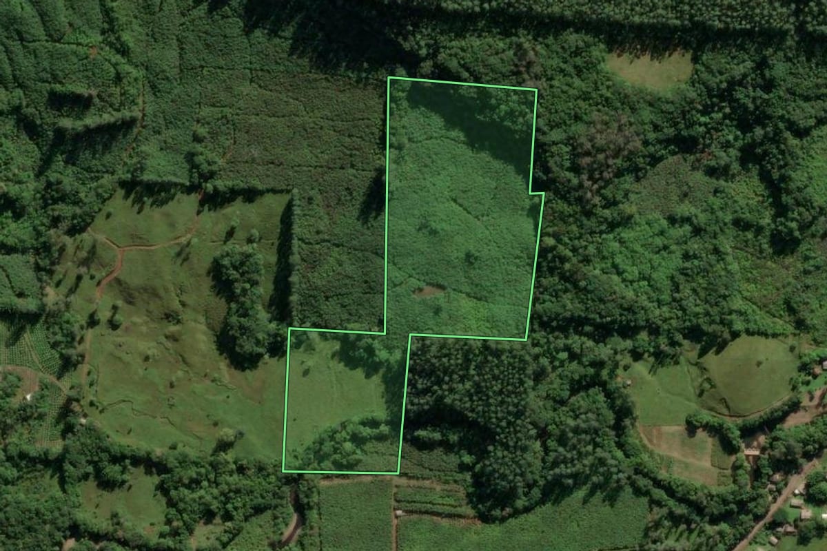 Imagem de satélite do imóvel rural em Morrinhos do Sul (RS), com o contorno declarado no CAR desenhado por cima.