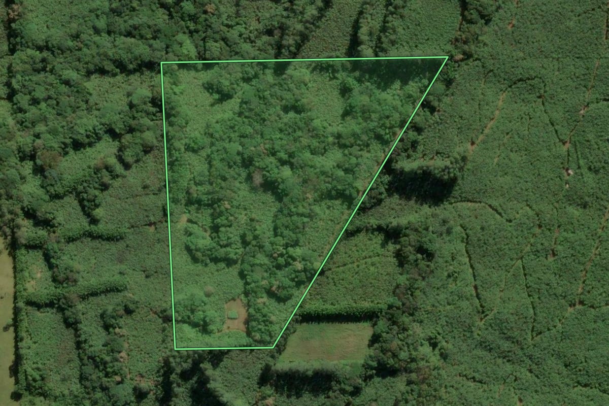 Imagem de satélite do imóvel rural em Morrinhos do Sul (RS), com o contorno declarado no CAR desenhado por cima.