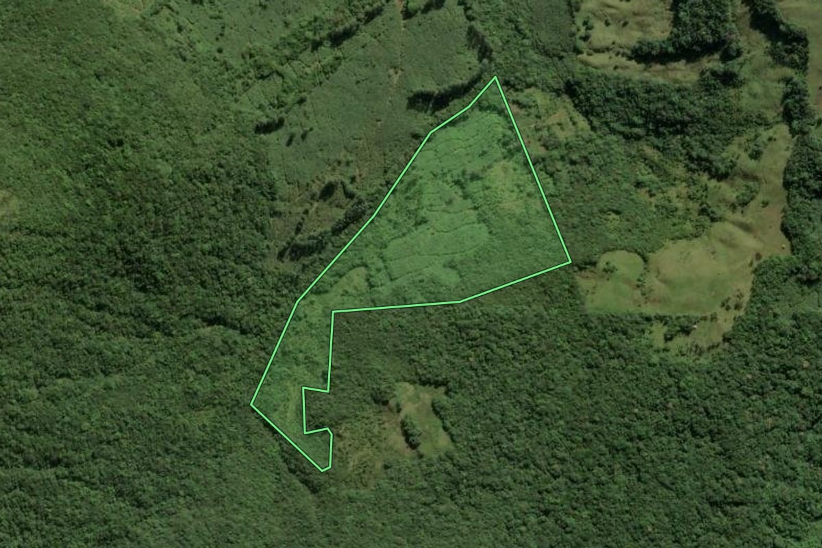 Imagem de satélite do imóvel rural em Morrinhos do Sul (RS), com o contorno declarado no CAR desenhado por cima.