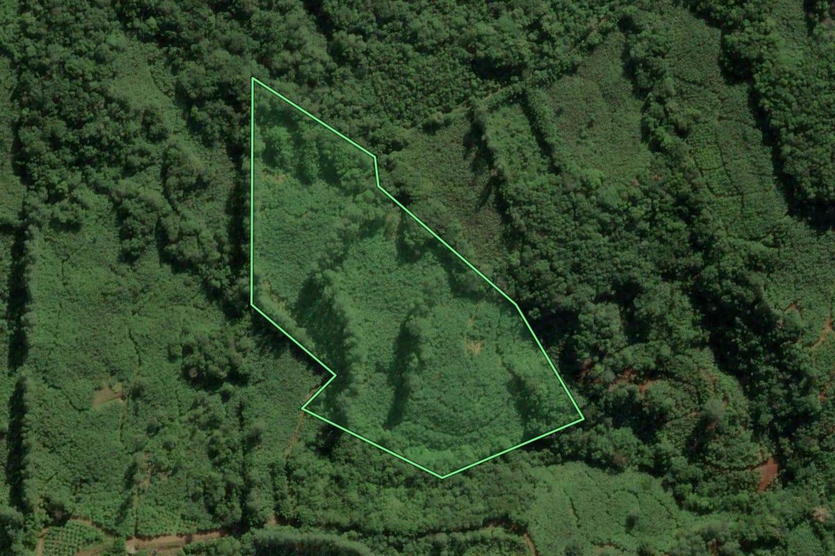 Imagem de satélite do imóvel rural em Morrinhos do Sul (RS), com o contorno declarado no CAR desenhado por cima.
