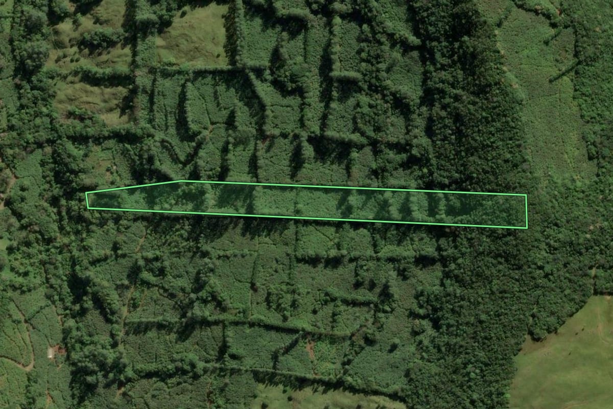 Imagem de satélite do imóvel rural em Morrinhos do Sul (RS), com o contorno declarado no CAR desenhado por cima.